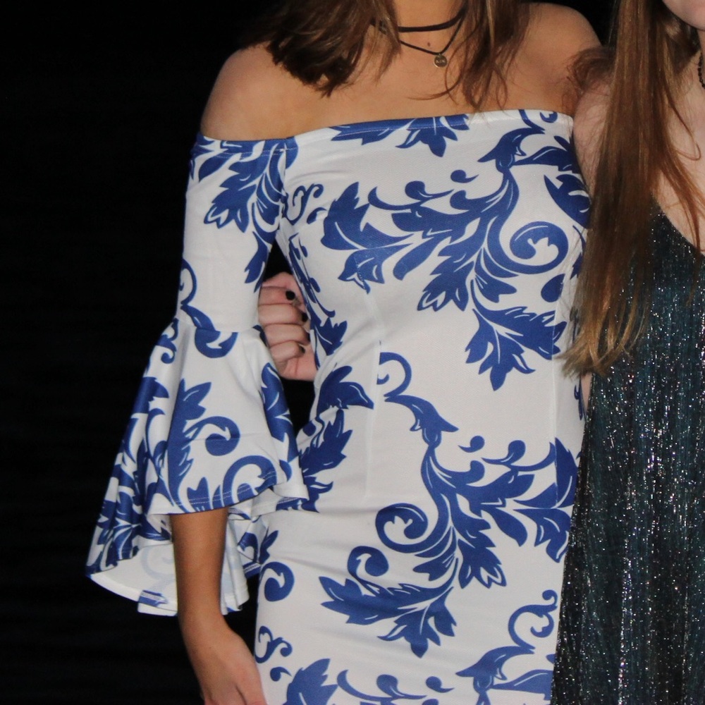 Blue and white gorgeous ruffle sleeve dress